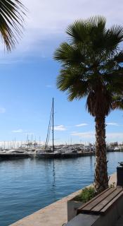 Alicantan Vital Experience - Alicante - 0