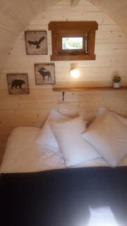 Cabane en bois POD 1 - Champfromier - 7