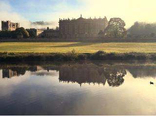 Elegant Number Two - 3