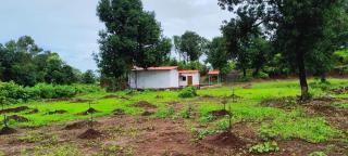 Kittu's Farm - Murbād - 4