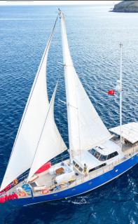 Tekne - Bodrum - 1
