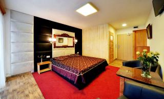 Hotel SZKLARSKA PORĘBA - Szklarska Poręba - 7