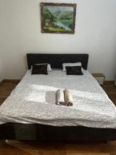 Central Apartment Circumvalatiunii - Timişoara - 4