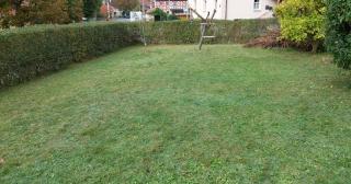 FerienhausAlbert - 6