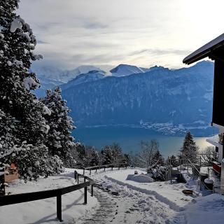 Hotel Sterne - Beatenberg - 3