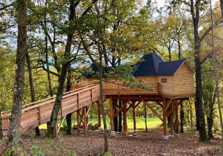 La Cabane perchée du Grand Chêne - Bongheat - 3