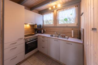 Wildgans - Mirow - 1