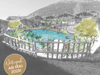Alpin Chalets Oberjoch - Luxus Unterkunft mit privatem SPA und Zugang zu 3000 qm SPA Panoramahotel Oberjoch - Bad Hindelang - 8