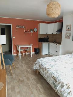 superbe grand studio tout confort avec exterieur - Poussan - 8