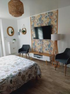 superbe grand studio tout confort avec exterieur - Poussan - 9