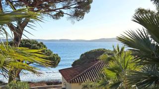 Massilia 18 - Sainte-Maxime - 6