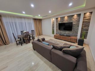 Sika President Garden & Spa Central Apartment Arad - Arad - 5