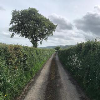 Characterful, Cosy Dartmoor Cottage - 3