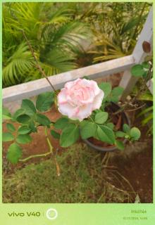 Sonu Resort & Farmhouse - Karjat - 2