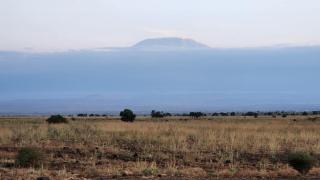Amanya Star Bed Amboseli - 8