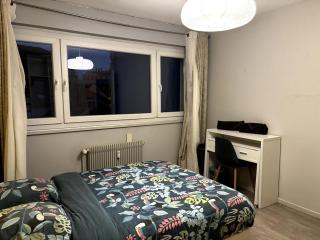 Coloc Cursat - Yellow Room - Annemasse - 4