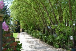 AIRE NATURELLE CAMPING LA LOIRE FLEURIE - Le Perrier - 6