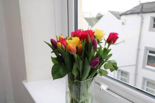 Cosy Two Bedroom Cottage - Whitehaven - 8