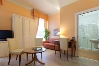 Hotel Pallanza by LVG Hotel Collection - Verbania - 7
