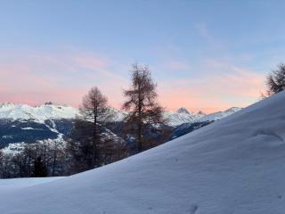 Ski-in and out in Thyon 2000 - 0