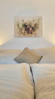 apartment77 - Bad Ischl - 8