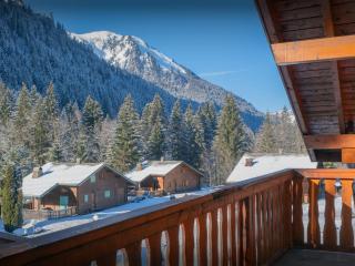 Chalet Igel - OVO Network - Châtel - 3