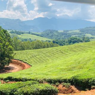 Framans Holiday Home - 4