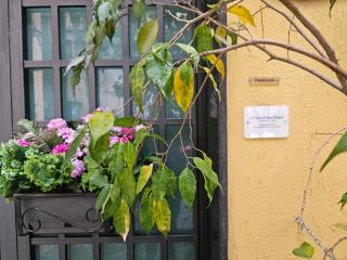 Museo Filangieri Suite - Napoli - 5