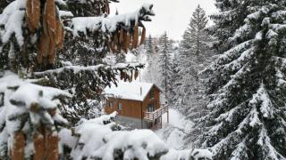 Gorska Vila - Kopaonik - 0