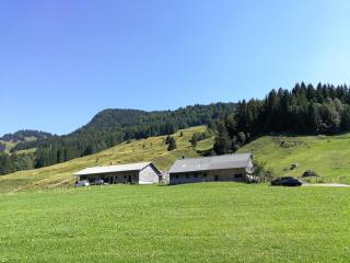 Ferienhütte Kälberweide - Hittisau - 9
