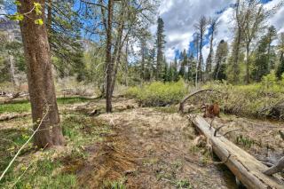 3685S River View Retreat - South Lake Tahoe - 9