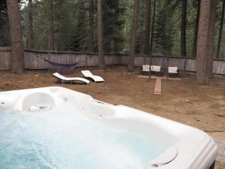 3685S River View Retreat - South Lake Tahoe - 7