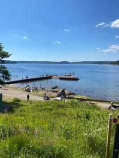 Fräknero - Ljungskile - 2