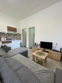 Apartman Arthur - Kikinda - 9
