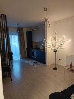 Ariel Apartment - Balcony & Free Parking - Braşov - 9