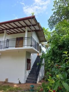 Green paradise - Hikkaduwa - 0
