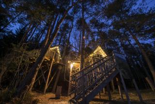 NIDS des VOSGES - 5