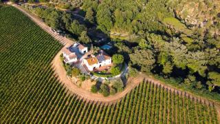 Loretta - Private holiday apartment with shared pool - Montelupo Fiorentino - 4