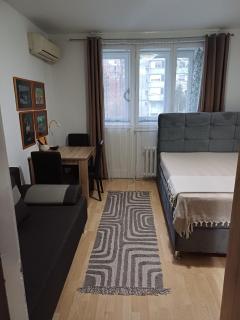 Fontana cozy apartment near Danube river - Belgrado - 9