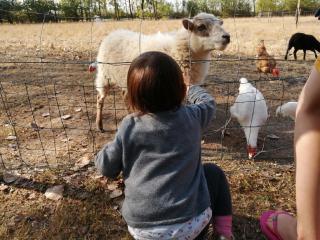 AIRE NATURELLE CAMPING LA LOIRE FLEURIE - Le Perrier - 1