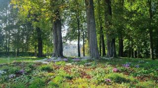 Gite - Les Ecuries du Domaine de Brumare 19 pers - Brestot - 2