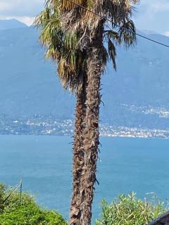 Casa Calma - Pino Lago Maggiore - 6