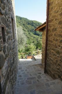 Leon Morto - Coreglia Antelminelli - 6
