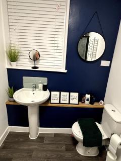 The Snug - Holywell - 4