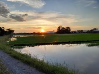 Dmana Homestay Arau Perlis Tiny House - Arau - 1