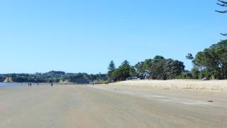 The Beach Pad - Auckland - 5