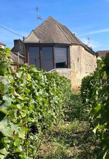La Vignedard avec Sauna privé au coeur des vignes - Pommard - 6