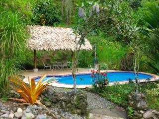 Plaza Tucanito - Cahuita - 5