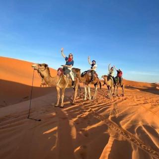 Bivouac Camel Trips - Merzouga - 2