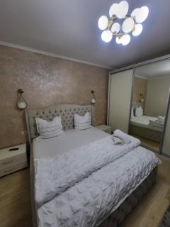 Sika President Garden & Spa Central Apartment Arad - Arad - 2